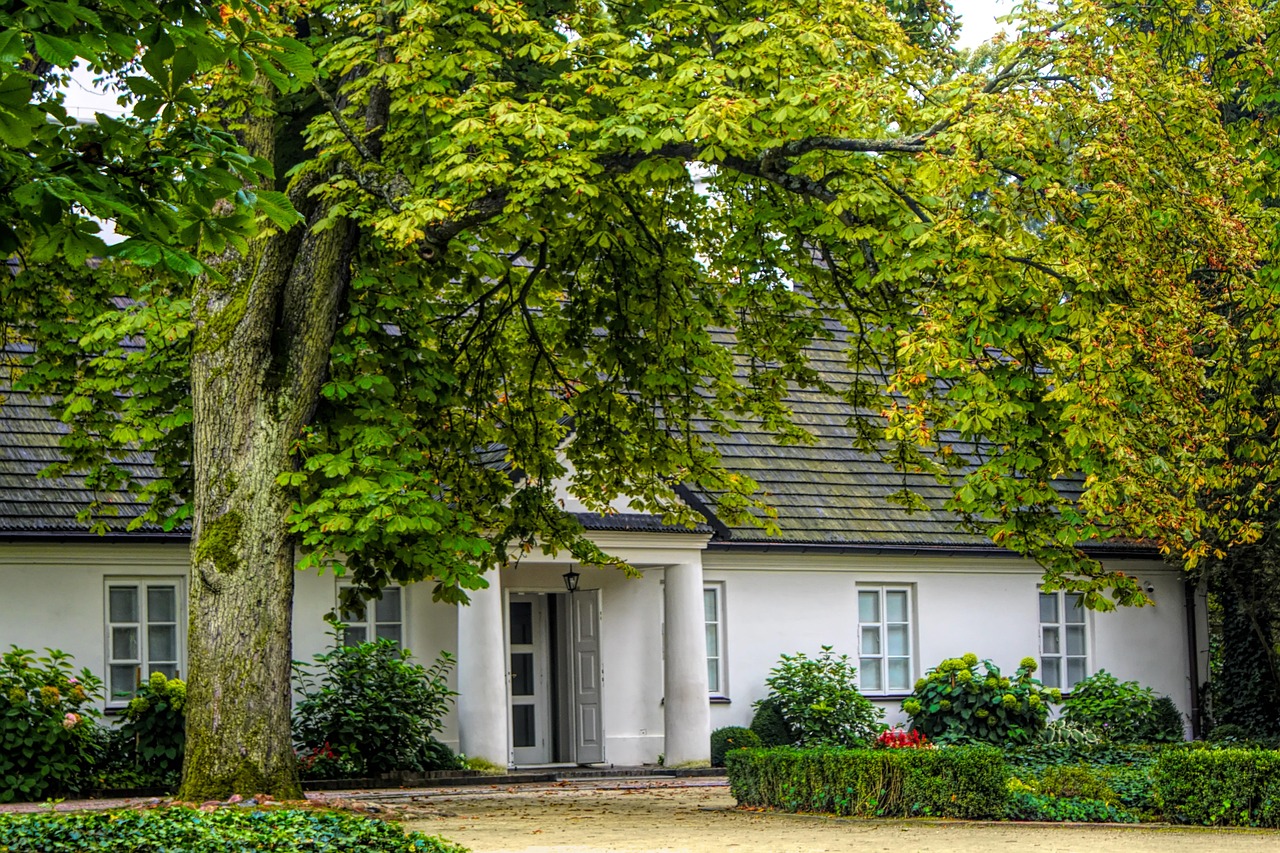 Alberi ad alto fusto troppo vicini a una casa, con rami che toccano il tetto e radici visibili.